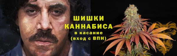 мдпв Карпинск