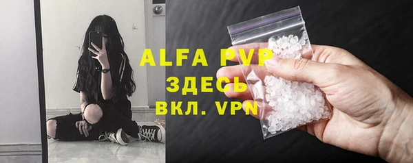 мдпв Карпинск