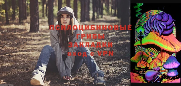 мдпв Карпинск