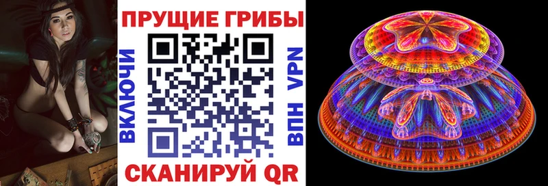 Галлюциногенные грибы мицелий  Купить где  Черемхово 